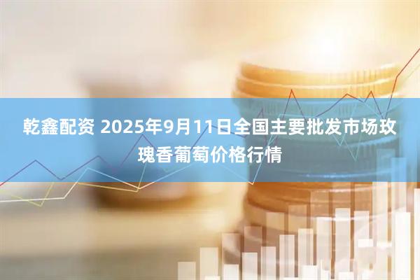 乾鑫配资 2025年9月11日全国主要批发市场玫瑰香葡萄价格行情