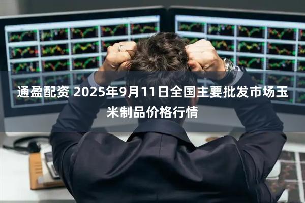 通盈配资 2025年9月11日全国主要批发市场玉米制品价格行情