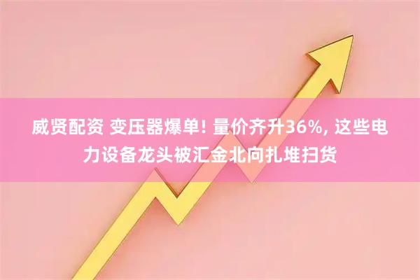 威贤配资 变压器爆单! 量价齐升36%, 这些电力设备龙头被汇金北向扎堆扫货